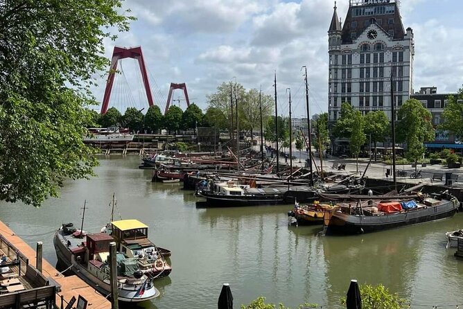 Discover the Hague, Delft & Rotterdam in a Day, With Lunch! - Reviews