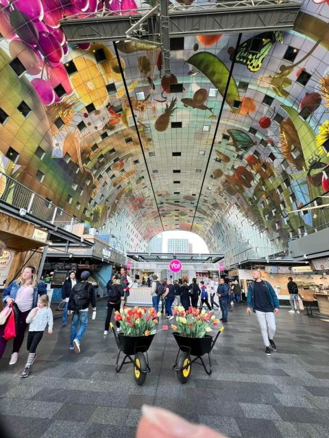 Discover the Hague, Delft & Rotterdam, With Lunch! - Meeting Point and Alternative Starting Location