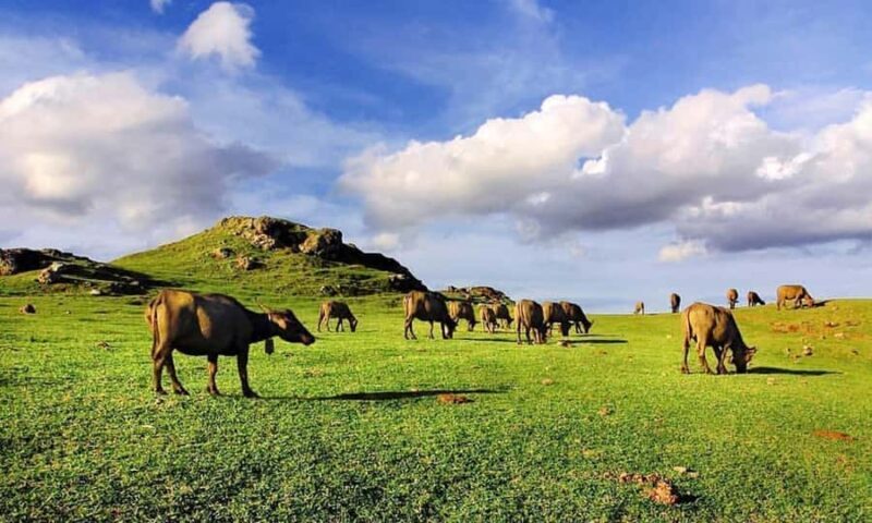 Discover the Heart of Lombok: An Authentic Sasak Tour - A Detailed Look at the Sasak Tour Experience