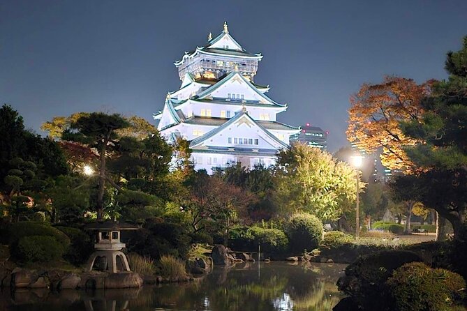 Discover the Hidden Gem of Osakas Private Walking Tour - What To Expect and Accessibility