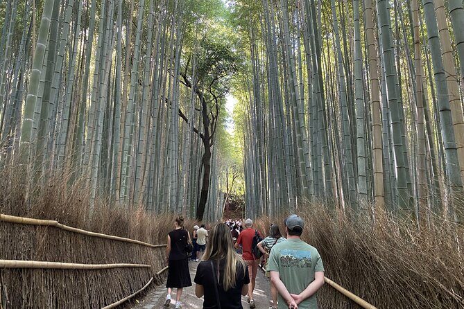 Discover the Hidden Paths of Arashiyama - Good To Know