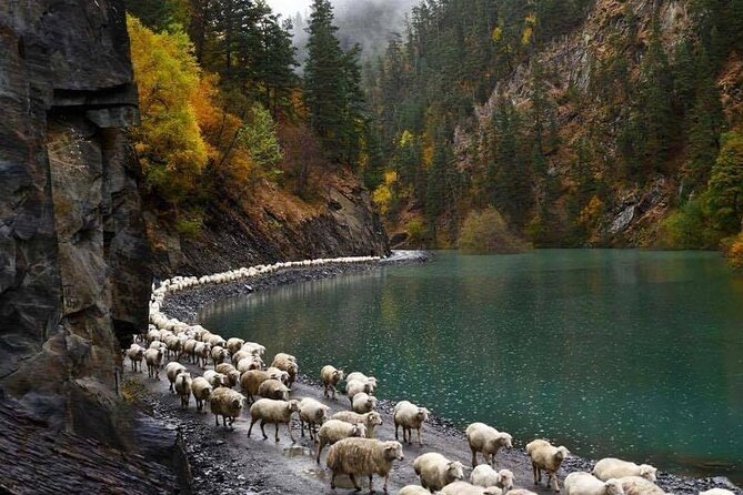 Discover the Highland Majesty: 4-Day Tusheti Trekking Escape - Local Culture Immersion