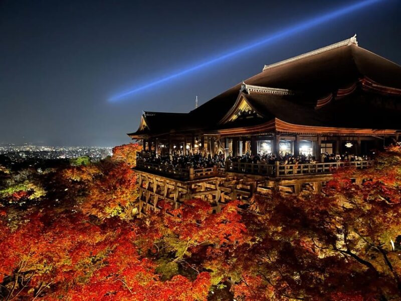 Discover the Highlights in Kyoto & Nara in 3 DAYS ! - Good To Know