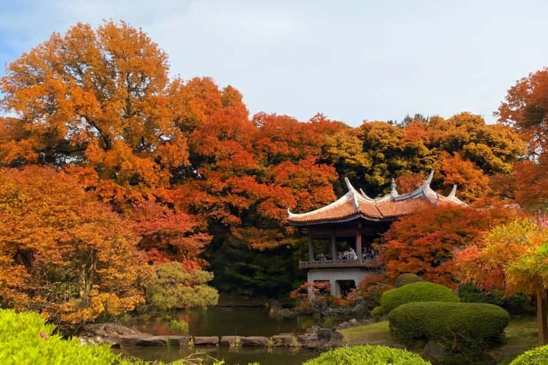 Discover the History of Shinjuku Gyoen-Private Walking Tour - Overview of the Tour Experience