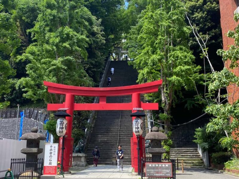 Discover the History of Shinjuku Gyoen-Private Walking Tour - What to Expect in Practical Terms