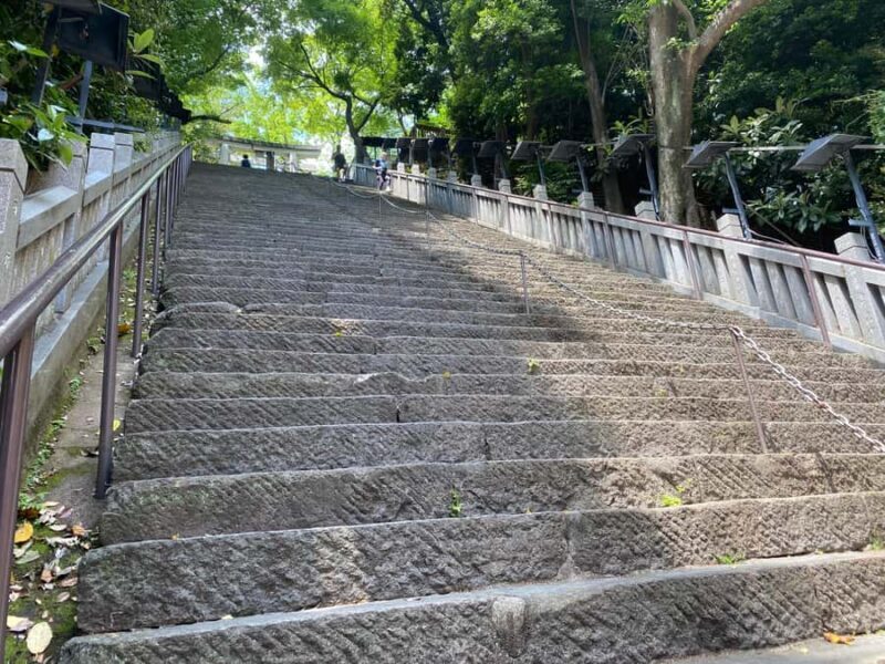 Discover the History of Shinjuku Gyoen-Private Walking Tour - Why It Offers Good Value