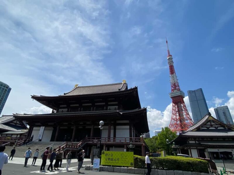 Discover the History of Shinjuku Gyoen-Private Walking Tour - Who Will Love This Tour?