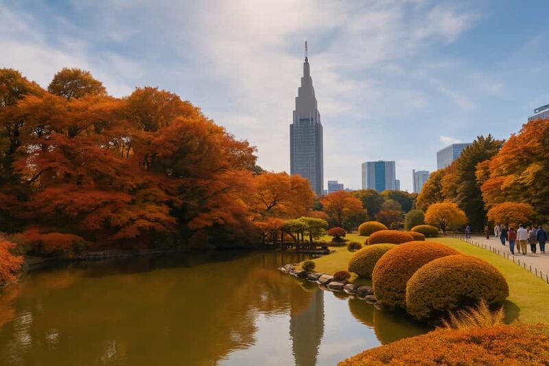 Discover the History of Shinjuku Gyoen-Private Walking Tour - The Experience in Detail