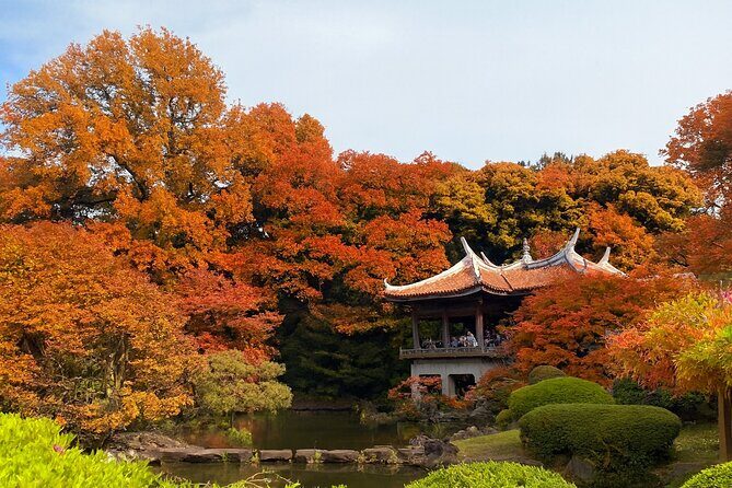 Discover the History of Shinjuku Gyoen Private Walking Tour - Good To Know
