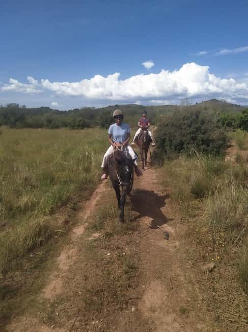 Discover the interior of Valencia on horseback - What makes this tour stand out?