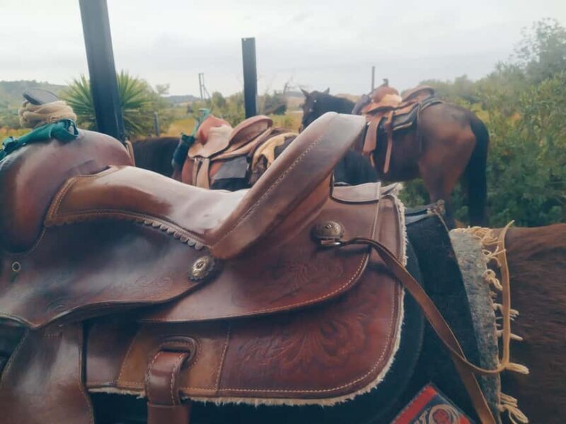 Discover the interior of Valencia on horseback - Who should consider this tour?