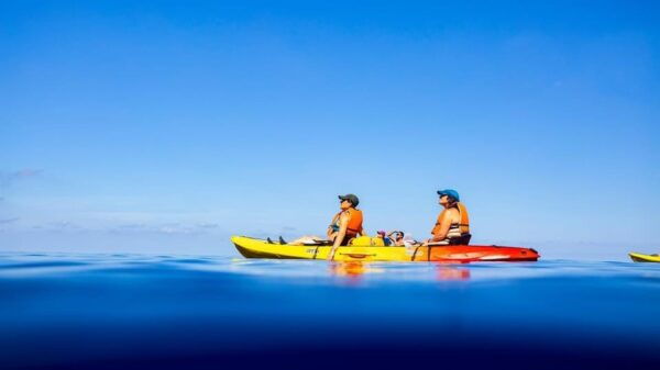 Discover the Island Dragonera by Kayak and on Foot - Visiting Dragonera Museum