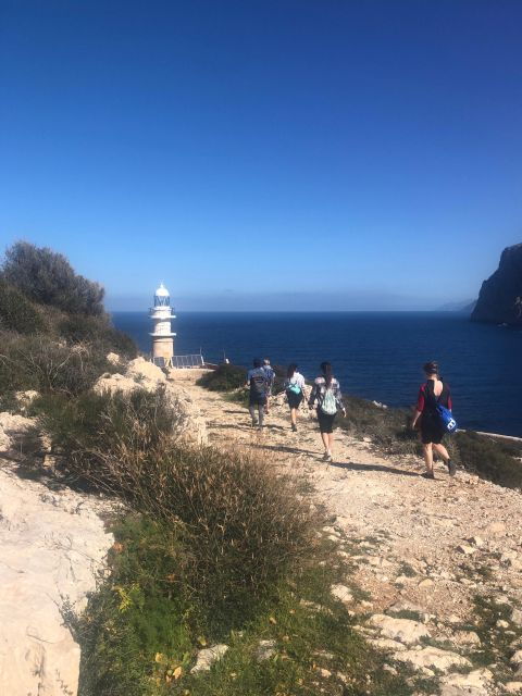 Discover the Island Dragonera by Kayak and on Foot - Activity Details