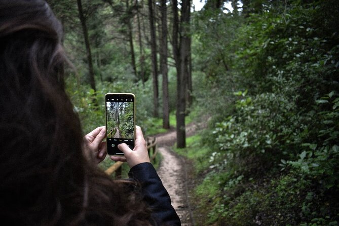 Discover the Lake Agnes Tea House Trail With a Guided Audio Hike - Reviews and Feedback