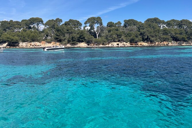 Discover the Lérins Islands and the Bay of Cannes by Private Boat - Reviewer 2 (Lisa_R)