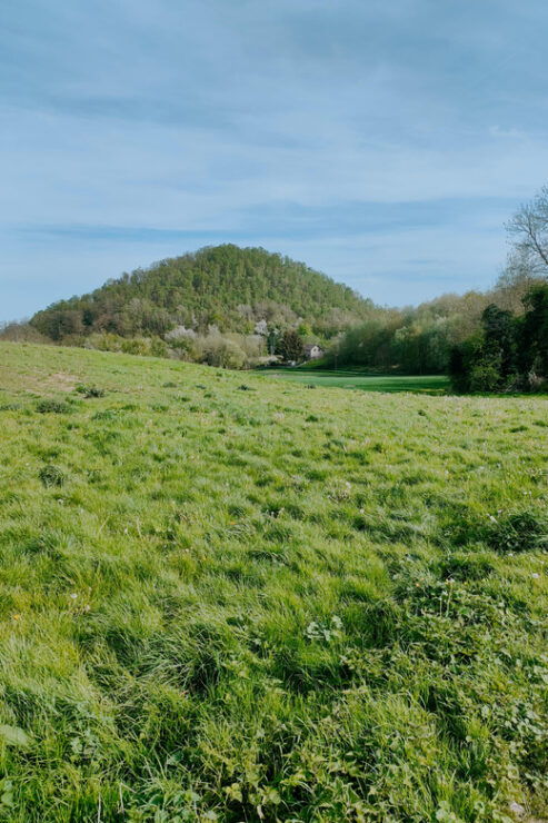 Discover the Liège Nature on Trail / Hiking-Running - Pricing and Booking Details