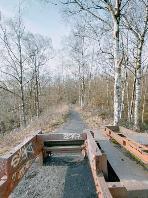 Discover the Liège Nature on Trail / Hiking-Running - Experience and Itinerary Highlights