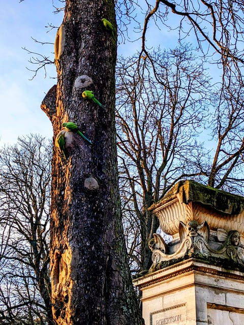 Discover the Living Beauty of Père-Lachaise - Key Points