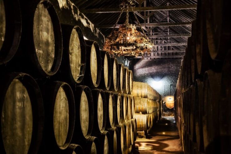 Discover the Magic of Arrábida and Local Wines Day Trip. - Activity Description