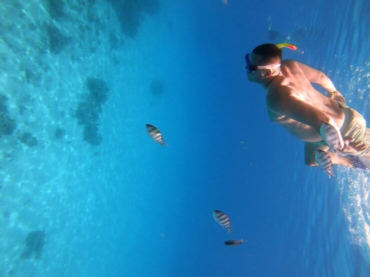 Discover the Magic of Dolphin House!" - Activity Highlights