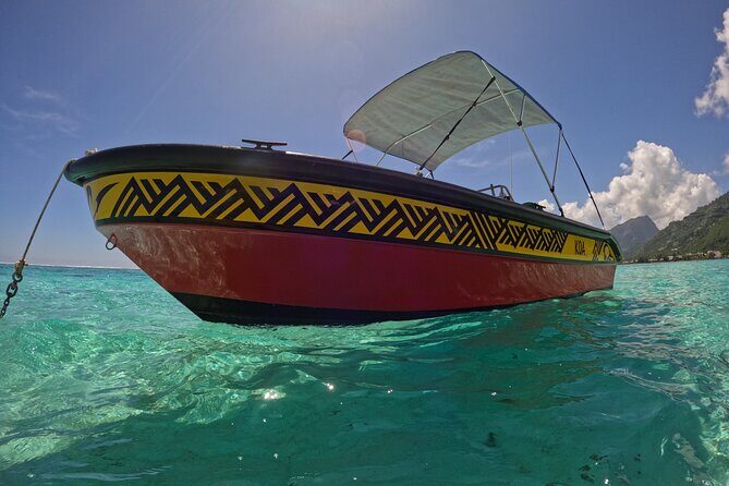 Discover the magical Moorea Lagoon - Frequently Asked Questions