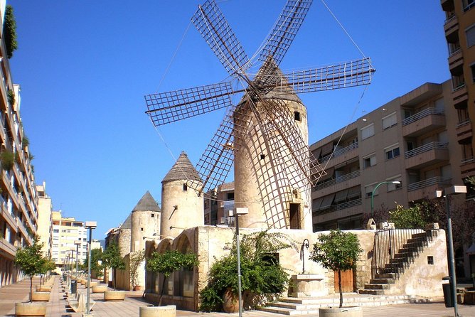 Discover the Major Cultural Attractions of Palma De Mallorca on a Private Tour - Cultural Museums and Galleries