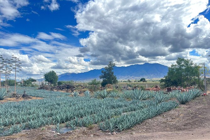Discover the Making of Mats in Teotitlán Del Valle and More! - Other Artisan Crafts in the Region