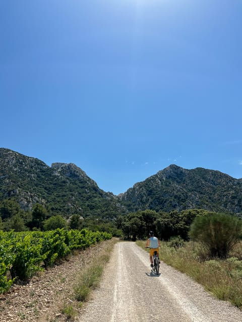 Discover the Massif Des Alpilles by Bike - Experience Highlights