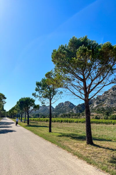 Discover the Massif Des Alpilles by Bike - Questions You May Have