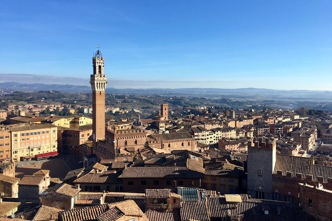 Discover the Medieval Charm of Siena on a Private Walking Tour - The Sum Up