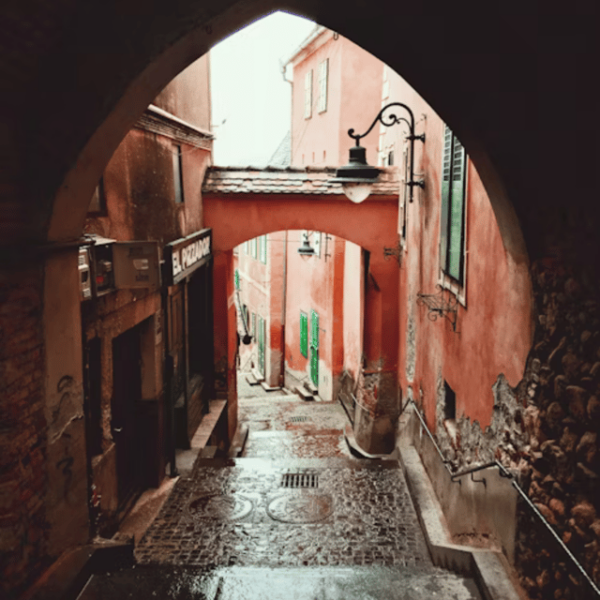 Discover the Most Attractive City in Transylvania. - Participant Guidelines