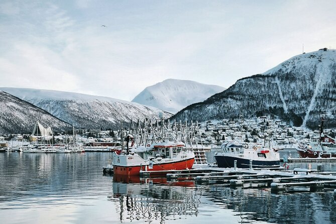 Discover the Most Photogenic Spots of Tromsø With a Local - Pricing and Booking
