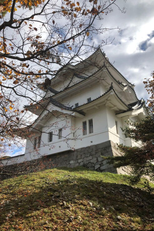 Discover the Ninja Secrets of Iga City (From Nara) - Itinerary Highlights