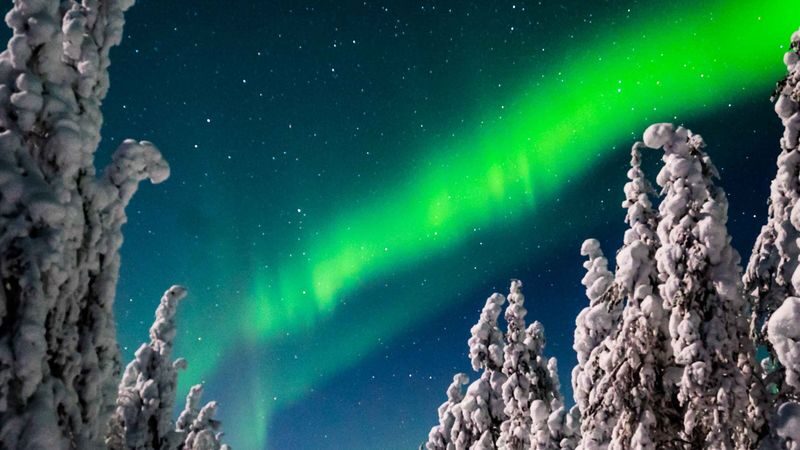 Discover the northern lights tour in Rovaniemi - Key points before you book
