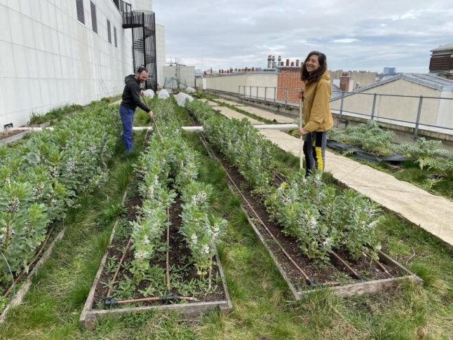 Discover the Opéra Bastille Rooftop Farm - Guides
