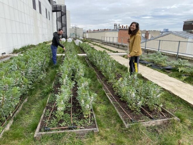 Discover the Opéra Bastille Rooftop Farm - Frequently Asked Questions
