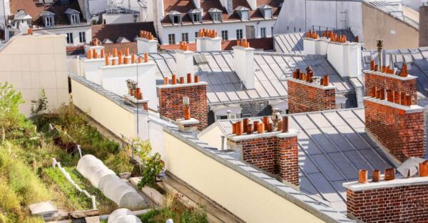 Discover the Opéra Bastille Rooftop Farm - The Sum Up