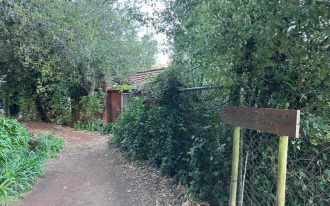 Discover the Paradise Valley - a Quick Escape for Everyone - Reviews
