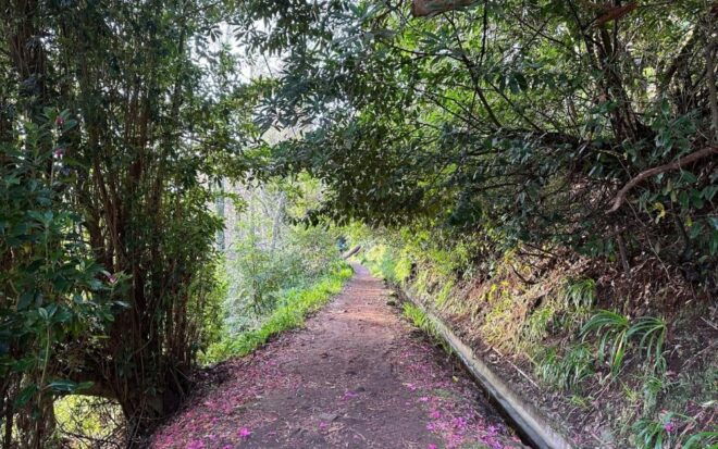 Discover the Paradise Valley - a Quick Escape for Everyone - Directions