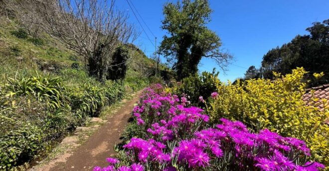 Discover the Paradise Valley - a Quick Escape for Everyone - Frequently Asked Questions