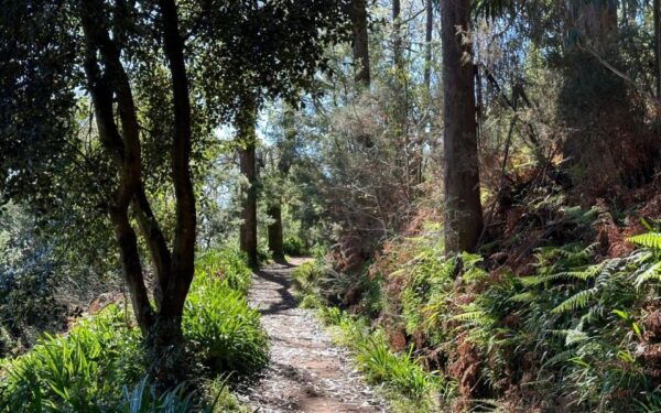 Discover the Paradise Valley - a Quick Escape for Everyone - The Sum Up