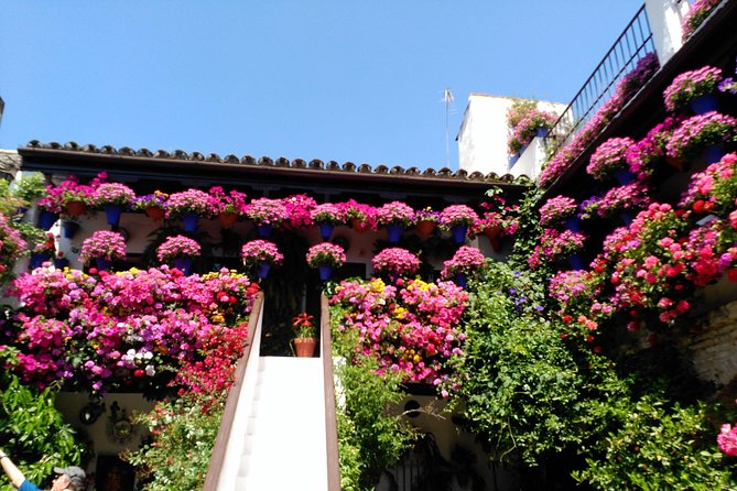 Discover the Patios De Córdoba: Guided Tour - Whats Included