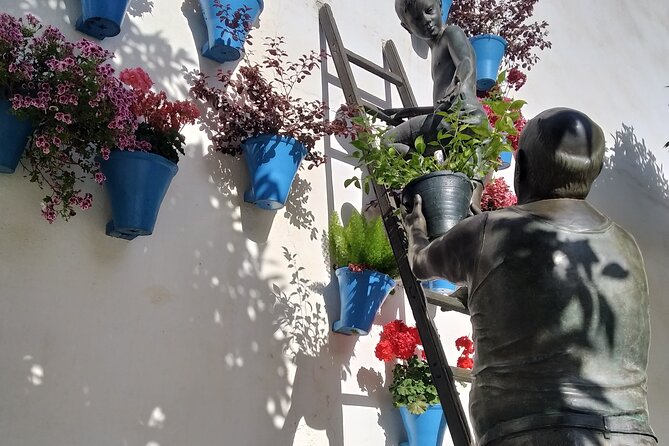 Discover the Patios De Córdoba: Guided Tour - Terms & Conditions
