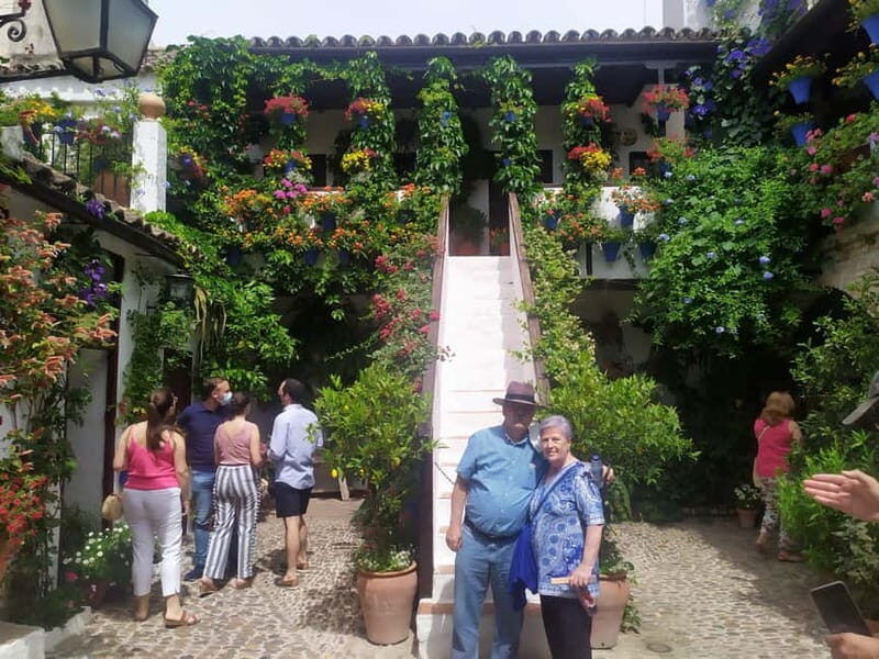 Discover the Patios of Cordoba: A Treasure of Color and Tradition. - FAQs