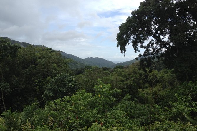 Discover the Rainforest - Pricing and Booking Options