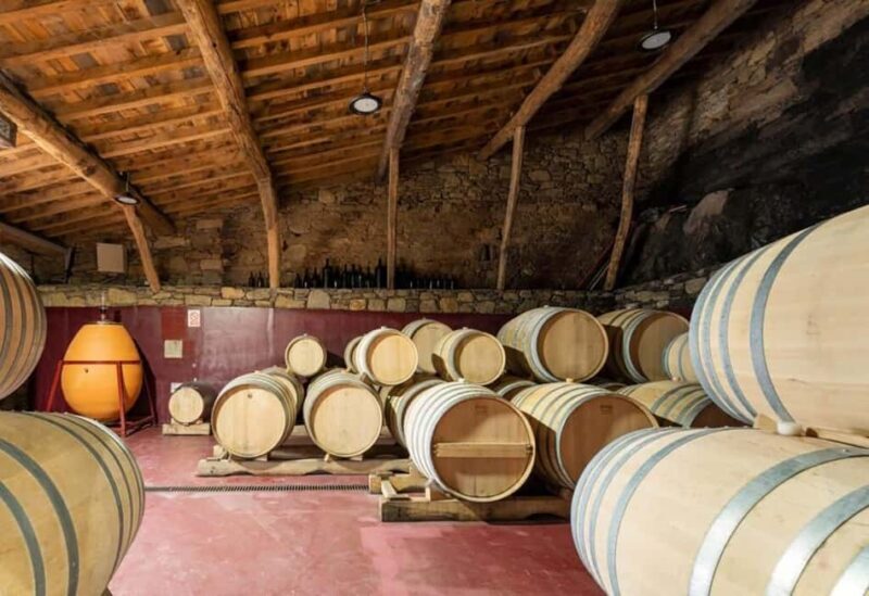 Discover the Ribeira Sacra with a unique wine experience! - Discover the Ribeira Sacra with a Unique Wine Experience