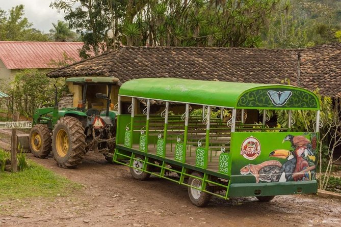 Discover the Rich History of Copan Ruinas - Ancient Mayan Civilization