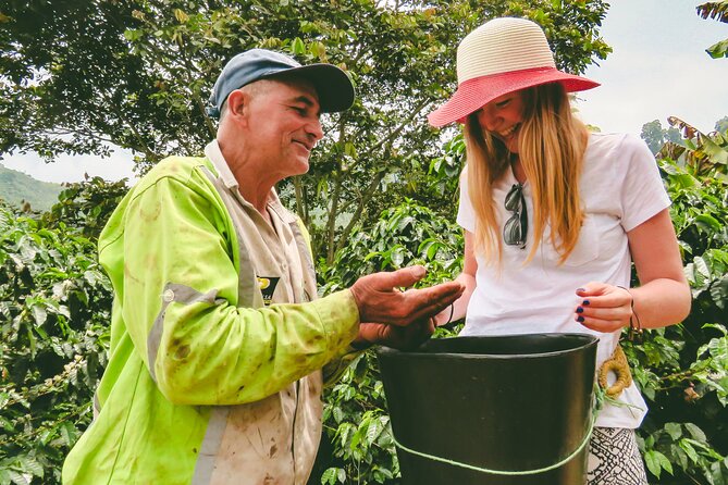 Discover the Richness of Colombian Coffee Culture - Unique Coffee Growing Practices
