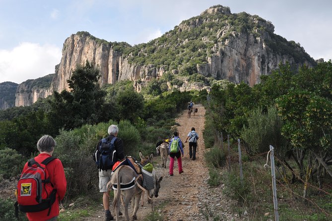 DISCOVER the SARDINIA, the WAYS of TRANSHUMANCES With ANES - Good To Know