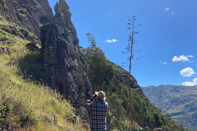 Discover the Secrets of Andean Nature in Pisac - Frequently Asked Questions
